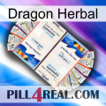 Dragon Herbal kamagra1